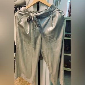 Zara Metallic Pants